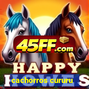 cachorros cururu